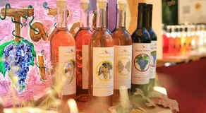 Tazos Winery Guest House - Image 5