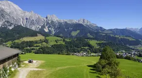 Paulingbauer - Image 5