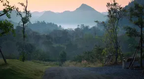 Banyakard Campground ลานกางเต็นท์บรรยากาศ - Image 4