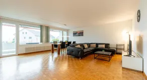 Swiss Suites Oberrohrdorf - Image 2