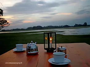 The Yala Camping - Image 4