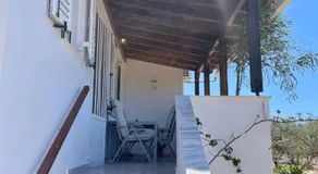 Gabriella elafonisos - Image 3