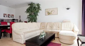 Apartments Villa Schwan - Image 4