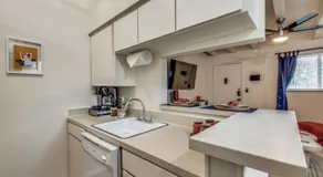 Austin Central Modern Comfort Pet-Friendly - Image 4