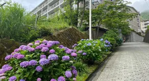 箱根 上強羅 温泉源泉かけ流し 独り占めできる 広々古民家 駅徒歩 貸切別荘 - Image 5
