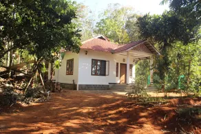 Wayanad days - Image 5