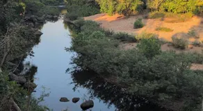 Whispering Mud Resort - Image 5