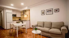 Apartamentos Al Paso de Toledo, Puy du Fou a 10km - Image 2