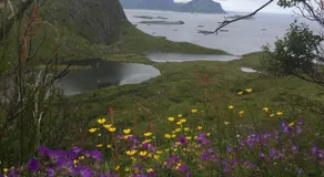 NyksundRom - small holiday flat - Image 5