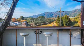 Stay at matcha fields - Image 5