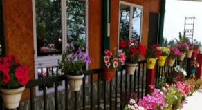 StayApart Green Hills Sangsay Homestay Kalimpong - Image 4