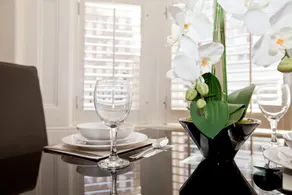 Luxury Studio in Belgravia - Image 5