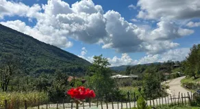 Balda Novel House - Image 4
