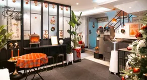 Stay JADE - Image 3