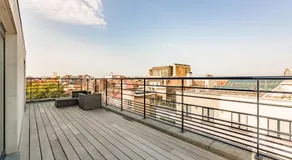 The Livorno - Image 3