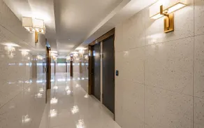 Asan Brown Dot Asan Terminal Branch - Image 3