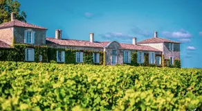 Les Chambres d'Arche, Château d'Arche, Grand Cru Classé de Sauternes - Image 3