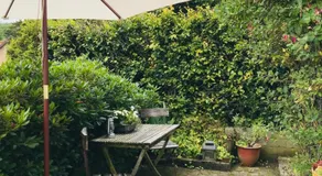 B&B Hasselgren - Image 4