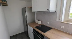 Ferienwohnung Wiesenblümle - Image 3