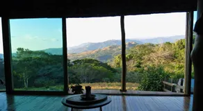 Artistic house in a coffee plantation - Image 5