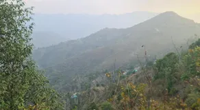 Awadh Niwas A Home in the Heart of the Forest - Image 5