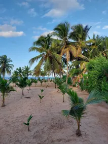 Punta Cana Ecolodge - Image 2