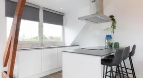 Hoog e - Image 4