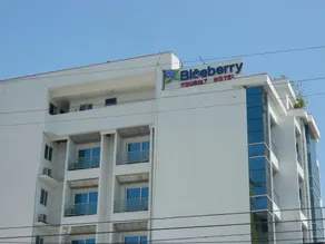 Blueberry Tourist Hotel - Image 3