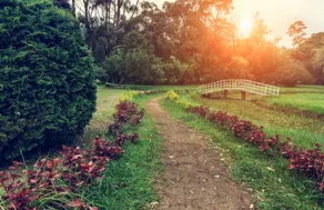 Panorama Accommodations Nuwara Eliya - Image 2