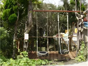 Mandarin Island Hotel - Image 4