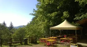 Camping Camaldoli - Image 3