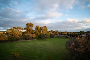The Tea Tree - Image 3