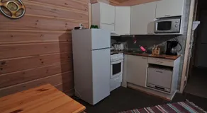 Arctic Polar Holiday Village - Image 3