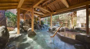 Magma All-Inclusive Family Onsen Resort - Image 4