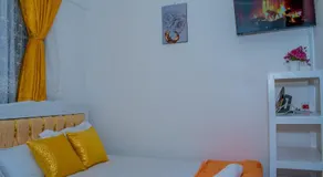 Delsystays - Image 2