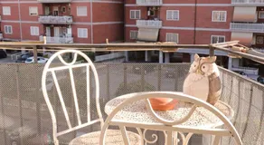 B&B Corapi - Image 4