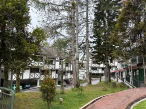 Equatorial Hill Resort, Mountain view Hilltop In Cameron Highlands - Image 5
