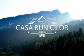 Casa Bunicilor Sinaia - Image 2