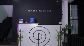 PEREGRINE Villa - Image 3