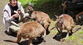 Fauna Australia Wildlife Experience - Image 4