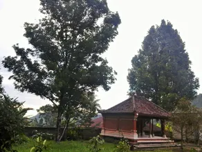 The Kori Homestay - Image 4