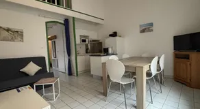Maison 3 pièces, terrasse, proche plage, calme - FR-1-246A-69 - Image 3