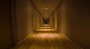 Hollywood Hotel - Image 5