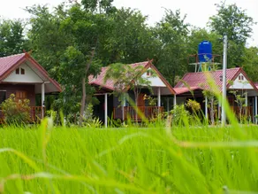Jamsai Resort - Image 2