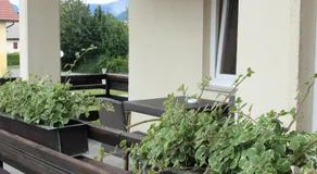 PONI NAKLO - Sobe Marinšek - Image 5