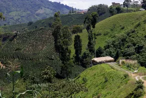 Eco Hotel Glamping El Silencio - Image 1