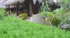 Selong Belanak Bungalows - Image 3