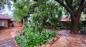 Tree Aloe Guest House - Image 5