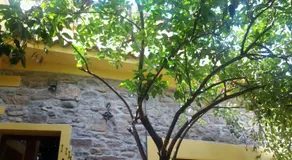 B&B Su Semucu - Image 5