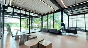 The Gold Living Life - Image 3